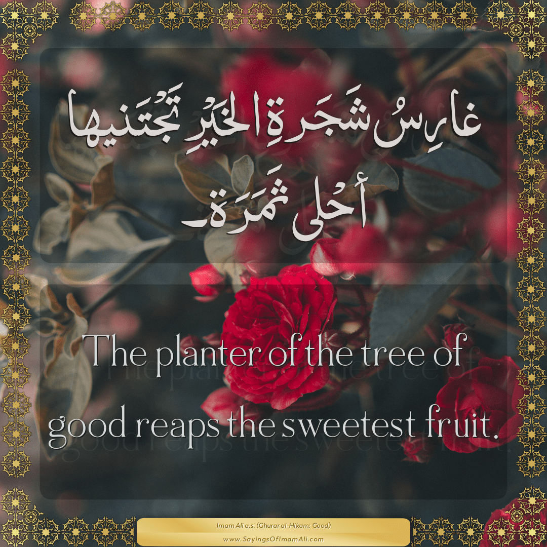 The planter of the tree of good reaps the sweetest fruit.